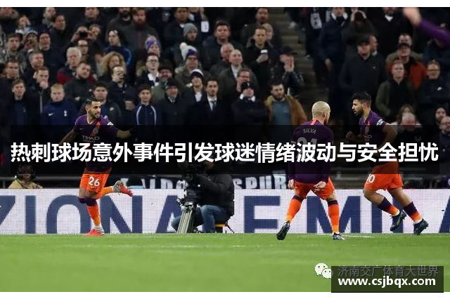 热刺球场意外事件引发球迷情绪波动与安全担忧