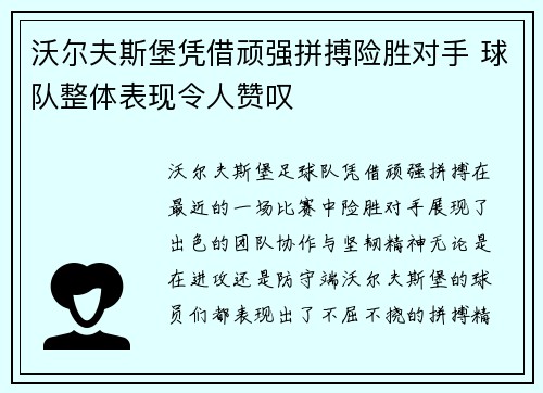 沃尔夫斯堡凭借顽强拼搏险胜对手 球队整体表现令人赞叹