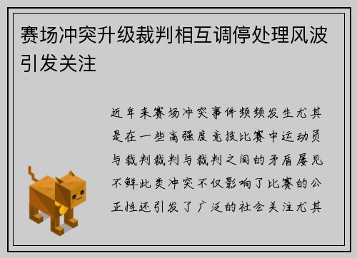 赛场冲突升级裁判相互调停处理风波引发关注